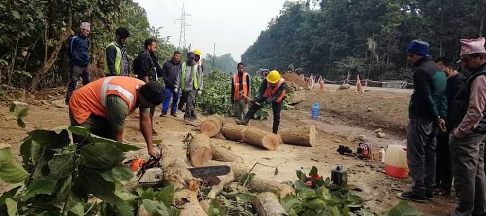 मुग्लिन-पोखरा सडक विस्तारः तनहुँ खण्डमा धमाधम रुख कटान 