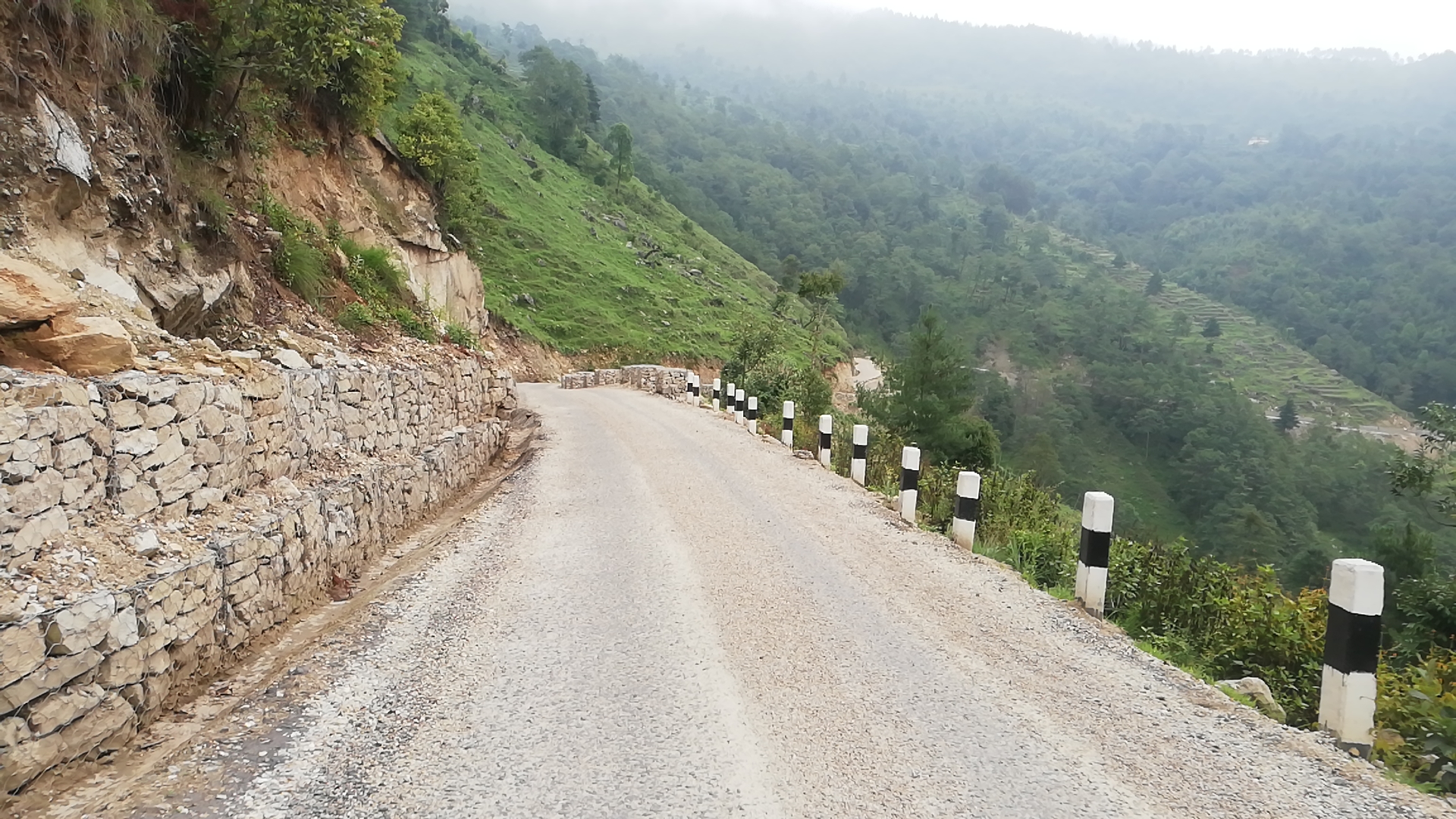 महाकाली लोकमार्गको अवरोध हट्यो, रुख कटान गर्न आदेश