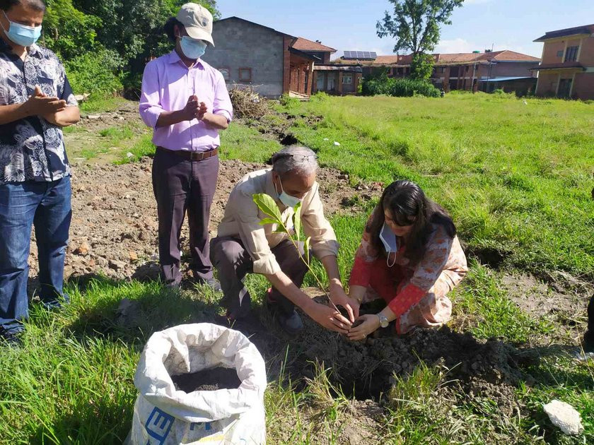 ग्लोबल आईएमई बैंकद्वारा त्रिभुवन विश्वविद्यालय परिसरमा वृक्षरोपण