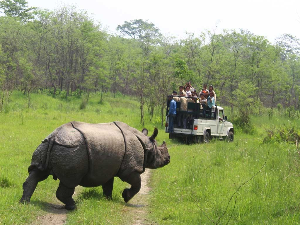 चितवन राष्ट्रिय निकुञ्जको मध्यवर्ती क्षेत्रमा पर्यटकीय गतिविधि बढ्यो