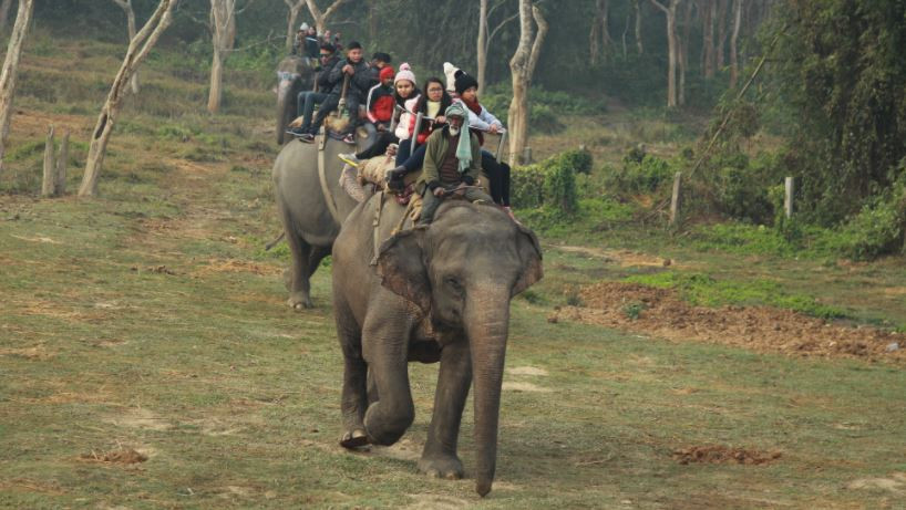 नारायणगढमा पर्यटन केन्द्रित १३ औं चितवन महोत्सव