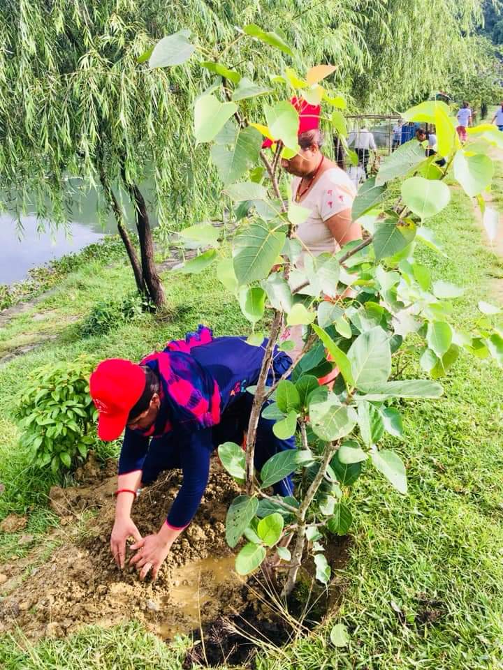 सुन्दर र हरियाली सहरका लागि आमा समूहको सक्रियता 