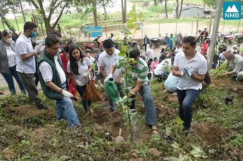 एनएमबी बैंकद्वारा नागार्जुनमा वृक्षरोपण, वातावरण संरक्षणमा जोड