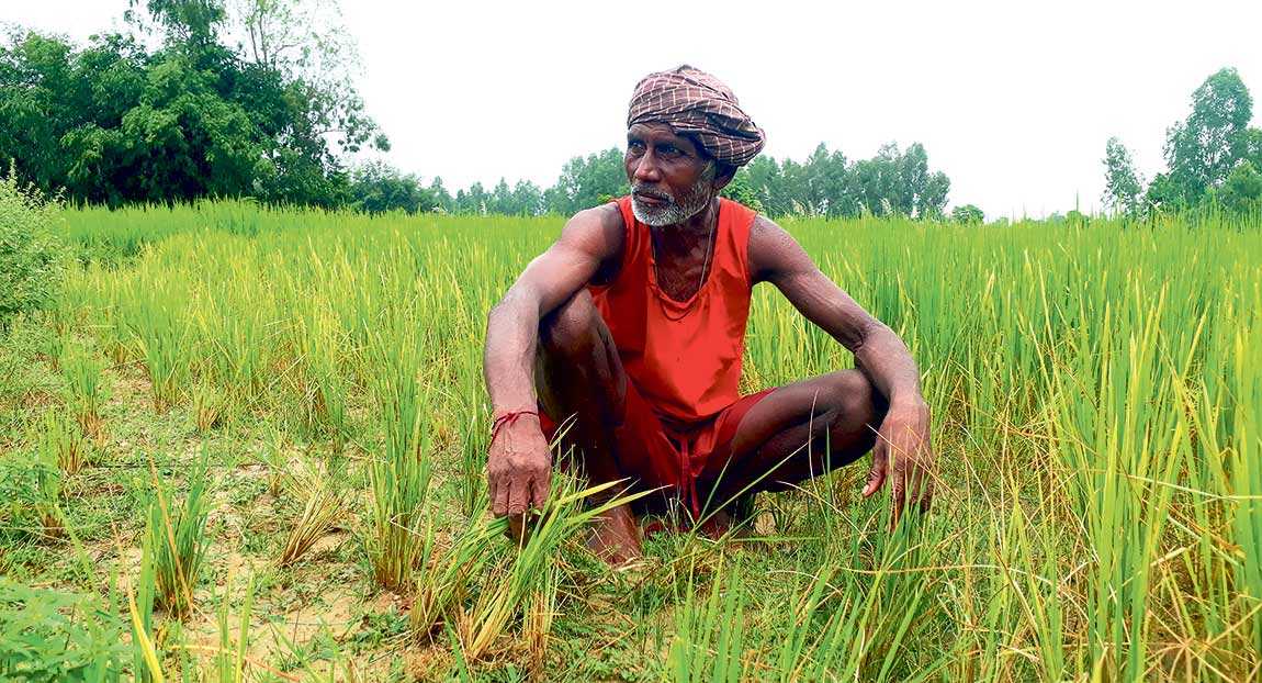 अन्तर्राष्ट्रिय किसानको विश्वव्यापी बैठक नेपालमा हुने