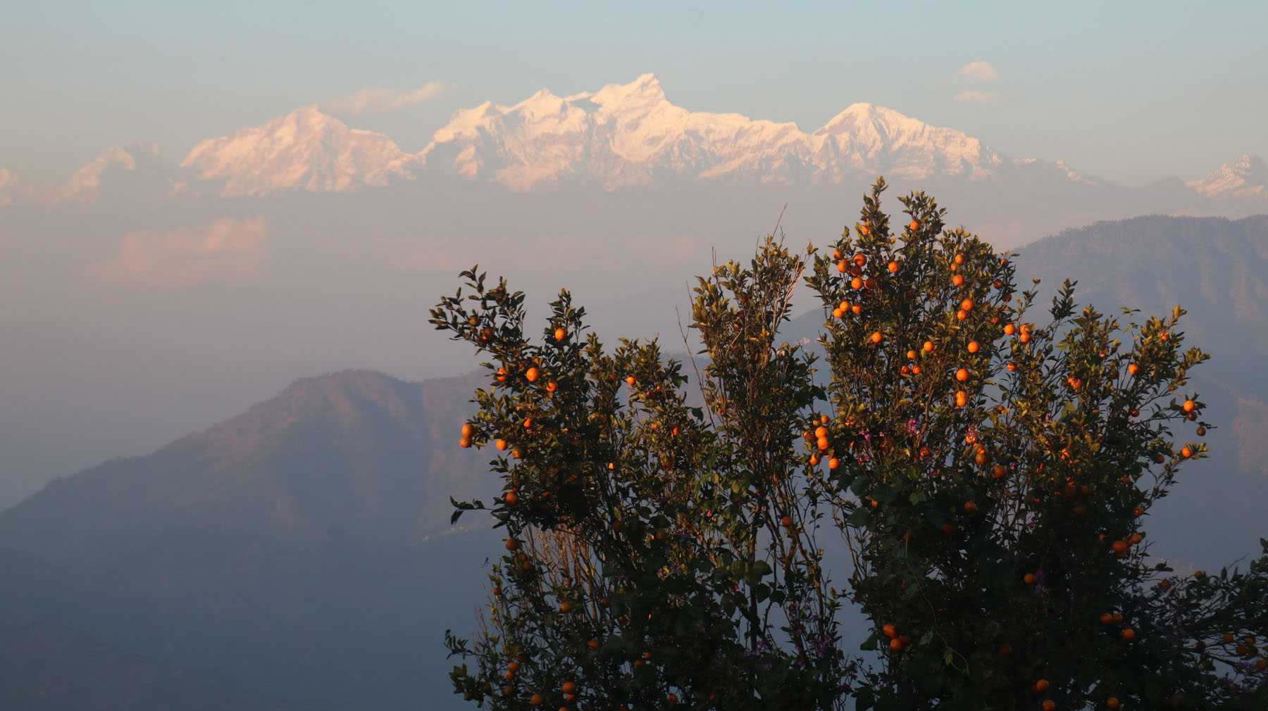  चितवनको पामडाँडा पर्यटकीय गन्तव्य बन्दै 