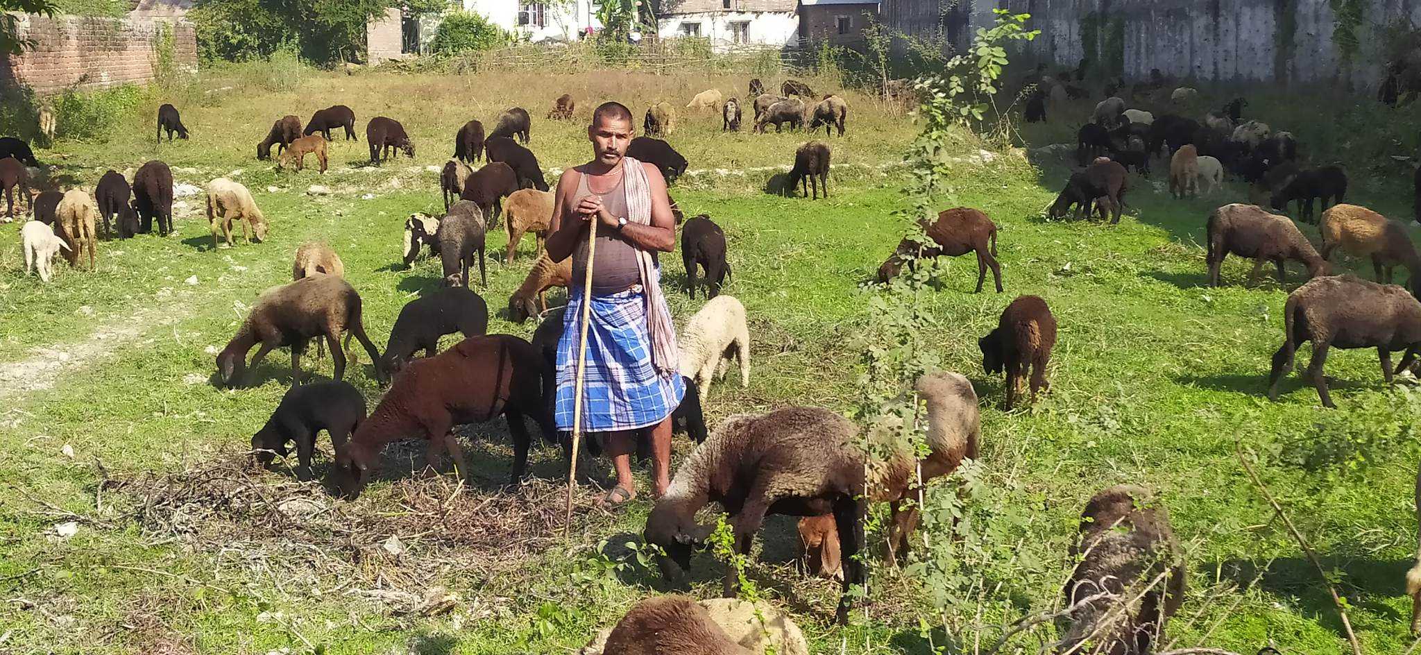 कृषियोग्य जमिन मासिदा भेडाबाख्रा चरन क्षेत्रको अभाव