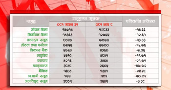 ५ महिनामै फाइनान्स इन्डेक्स ४७ प्रतिशतले घट्यो, दबाबपूर्ण स्थिति कायमै