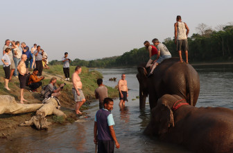 पर्यटकको रोजाइ बन्दै चितवनकाे पटिहानी