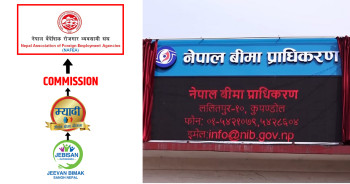 वैदेशिक रोजगारको ३१ प्रतिशत बिमाशुल्क कम्पनीलाई, ६९ प्रतिशत पुलमा जाँदा कसले कति पाए?