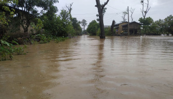 कैलालीमा डुबानबाट ३ हजार परिवार प्रभावित