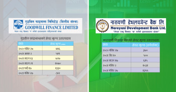 अस्वभाविक मूल्य उतारचढाव श्रृङ्खलाः गुडविल फाइनान्स र नारायणी डेभलपमेण्टमा डुब्दैछन् लगानीकर्ता 