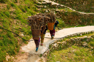 काठदाउरा प्रयोग गर्छ देशको आधा बढी जनसंख्या (तस्बिरसहित)