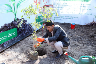 ग्लोबल आइएमई बैंकले वार्षिकोत्सव अवसरमा १८ हजार बिरुवा रोप्ने 