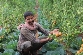 विदेशको कमाइले पेट पाल्न धौधौ भएपछि स्वदेश फर्किए देवराज, गाउँमै कमाउँछन् मासिक १ लाख