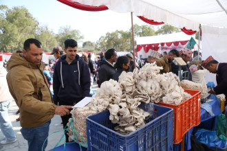 भृकुटीमण्डपमा च्याउको मःमःदेखि स्याउको चियासम्म (तस्बिरसहित)