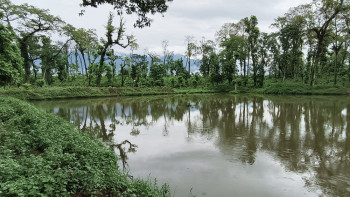 हिउँदे सिँचाइलाई पानी संकलन गर्न पोखरी निर्माण