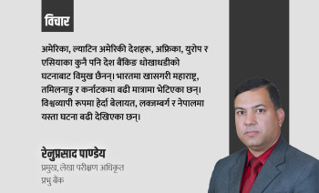 कर्मचारीबाट हुने आन्तरिक धोखाधडीले बैंक तथा वित्तीय क्षेत्रको प्रतिष्ठामा क्षति