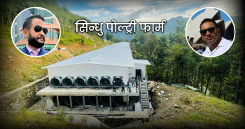 सिन्धुपाल्चोकको सल्लाघारीमा स्वचालित पोल्ट्री उद्योग सञ्चालनमा आउँदै, साढे ७ करोड लगानी