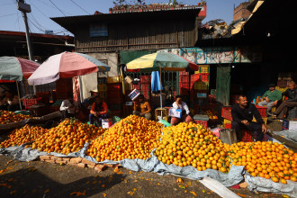 बोटमै सुन्तला किन्न जान्छन् व्यापारी