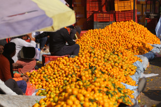 एउटै जिल्लाबाट एक अर्ब साढे १२ करोडको सुन्तला बिक्री