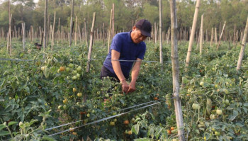 जसले विदेशबाट फर्केर खेती गरी लाखौँ कमाइरहेका छन्