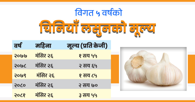 एकै वर्षमा चिनियाँ लसुनको मूल्य ३८ प्रतिशतले बढ्यो, नेपाली लसुन अभावको फाइदा विदेशीलाई