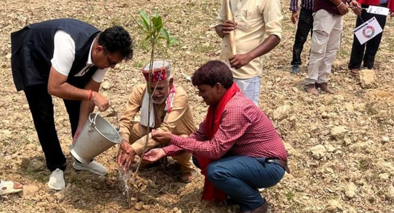 मुक्तिनाथ विकास बैंकले रोप्यो साढे ३०० बिरुवा