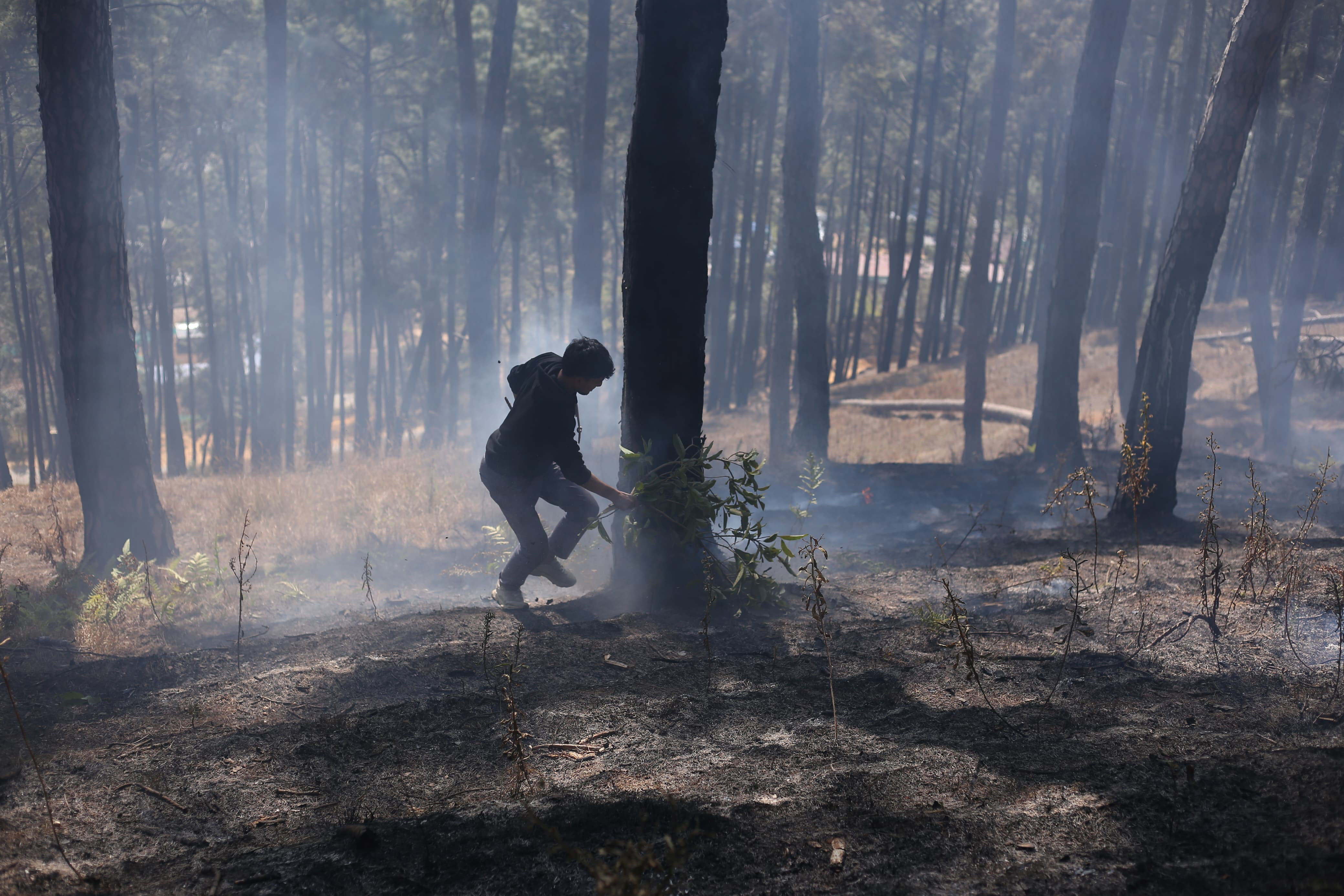 Forest-fire-in-Godhabari.-867-1737714306.jpg