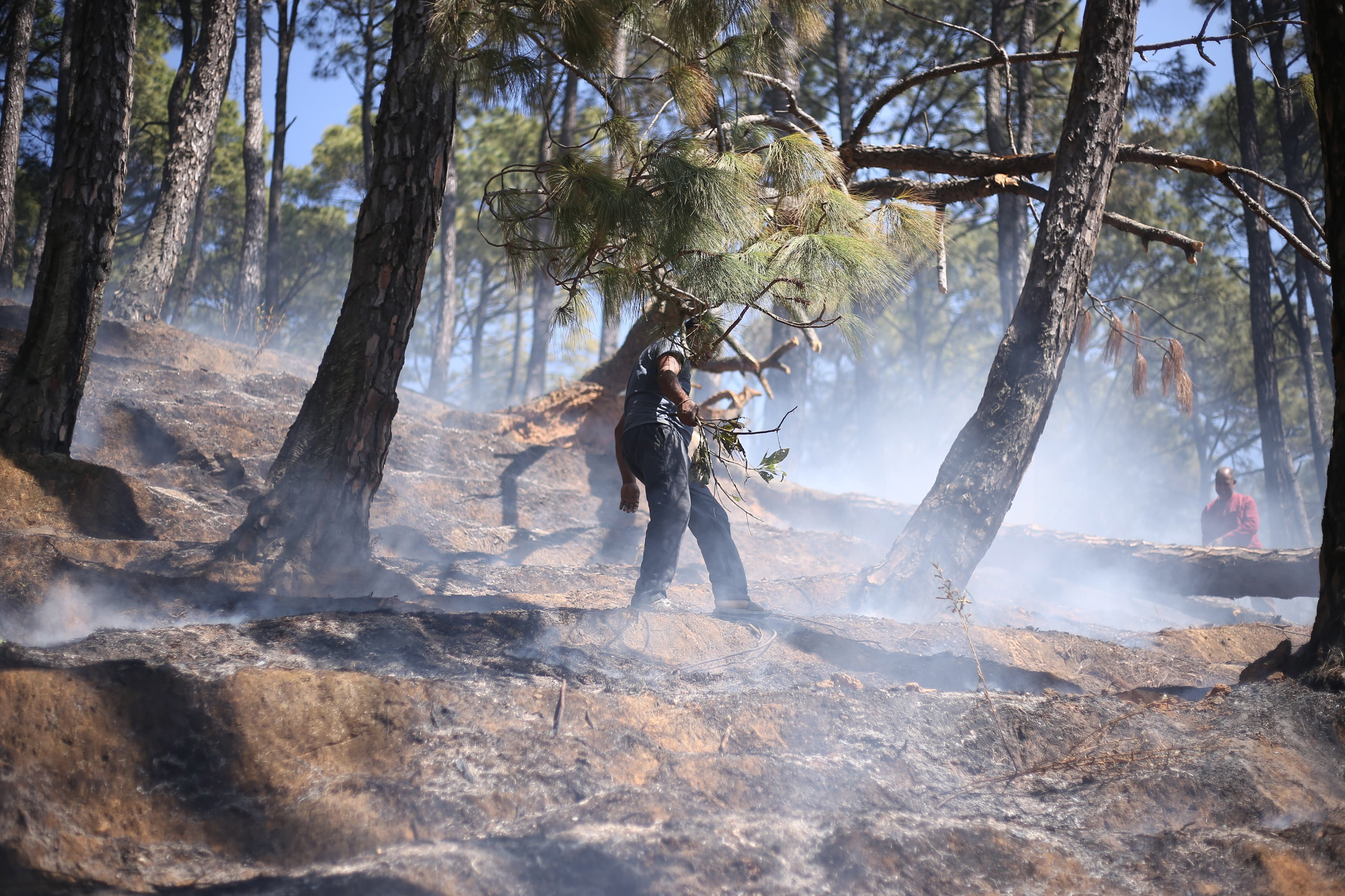 Forest-fire-in-Godhabari.-869-1737714308.jpg