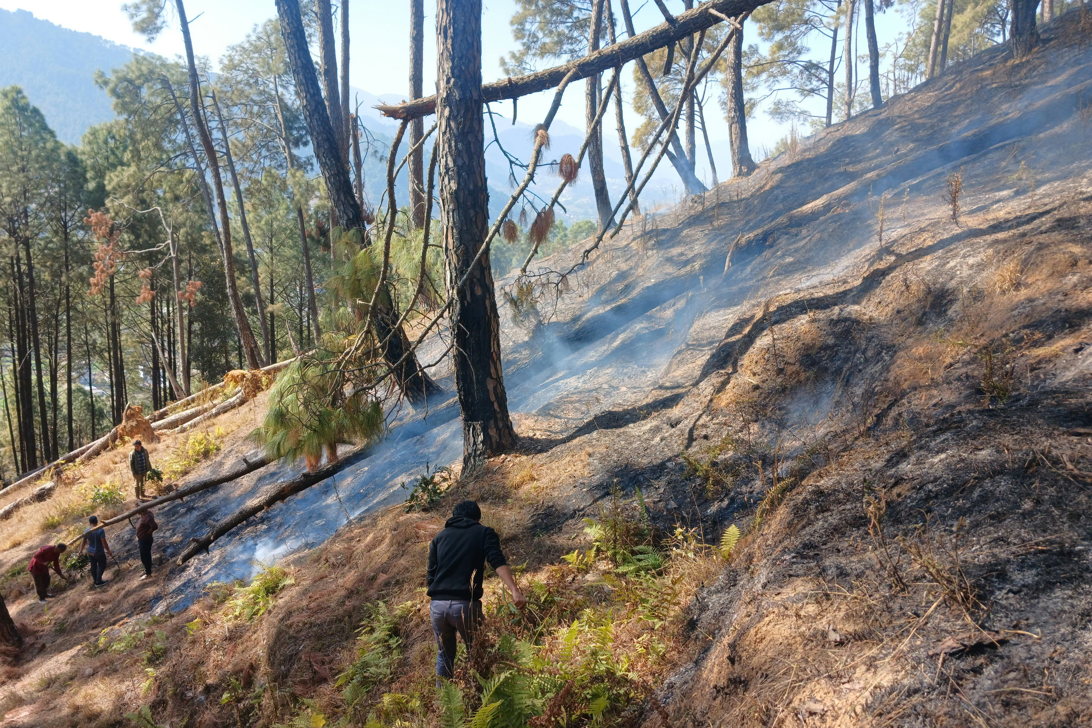 Forest-fire-in-Godhabari.-872-1737714312.jpg