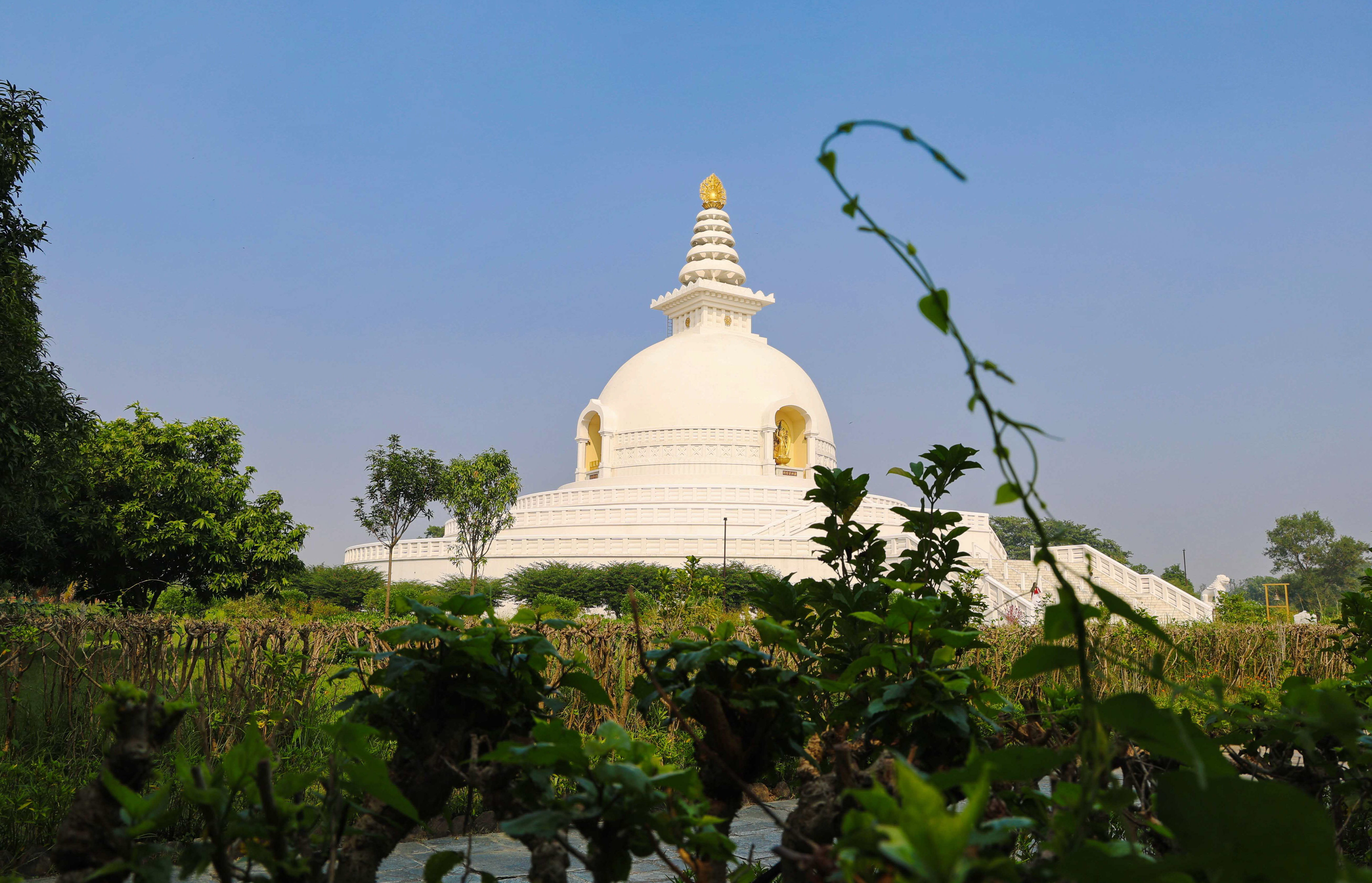 Lumbini-Shanti-Stupa-888-1732014767.jpg