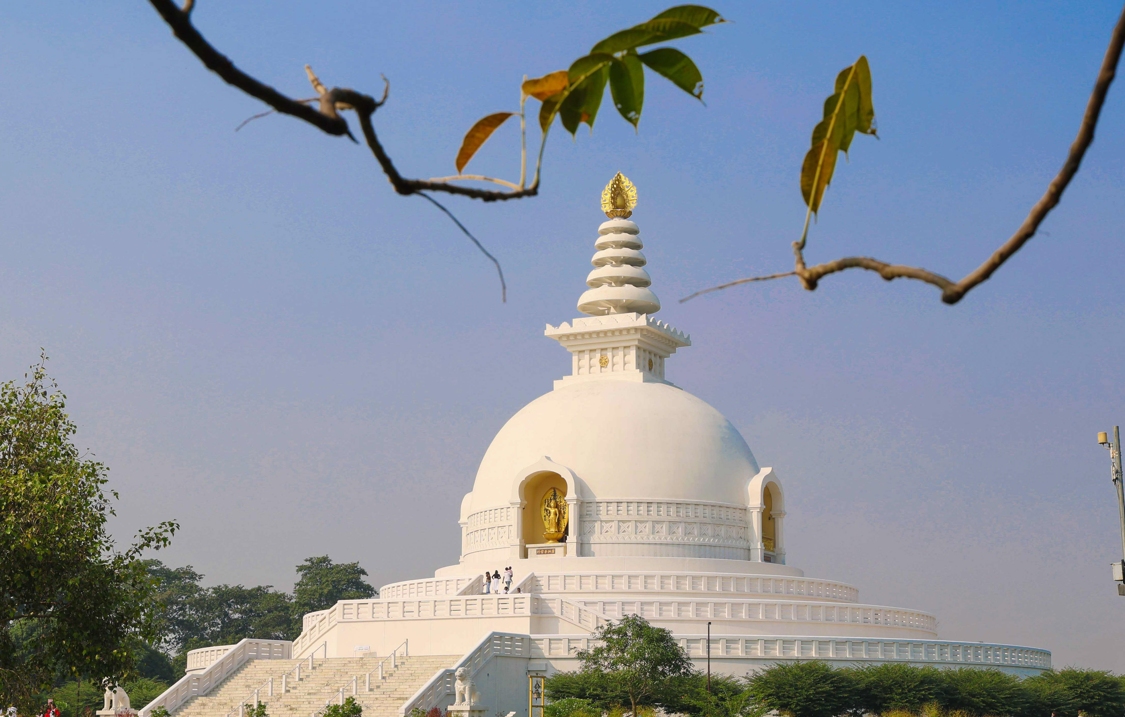 Lumbini-Shanti-Stupa-891-1732014771.jpg