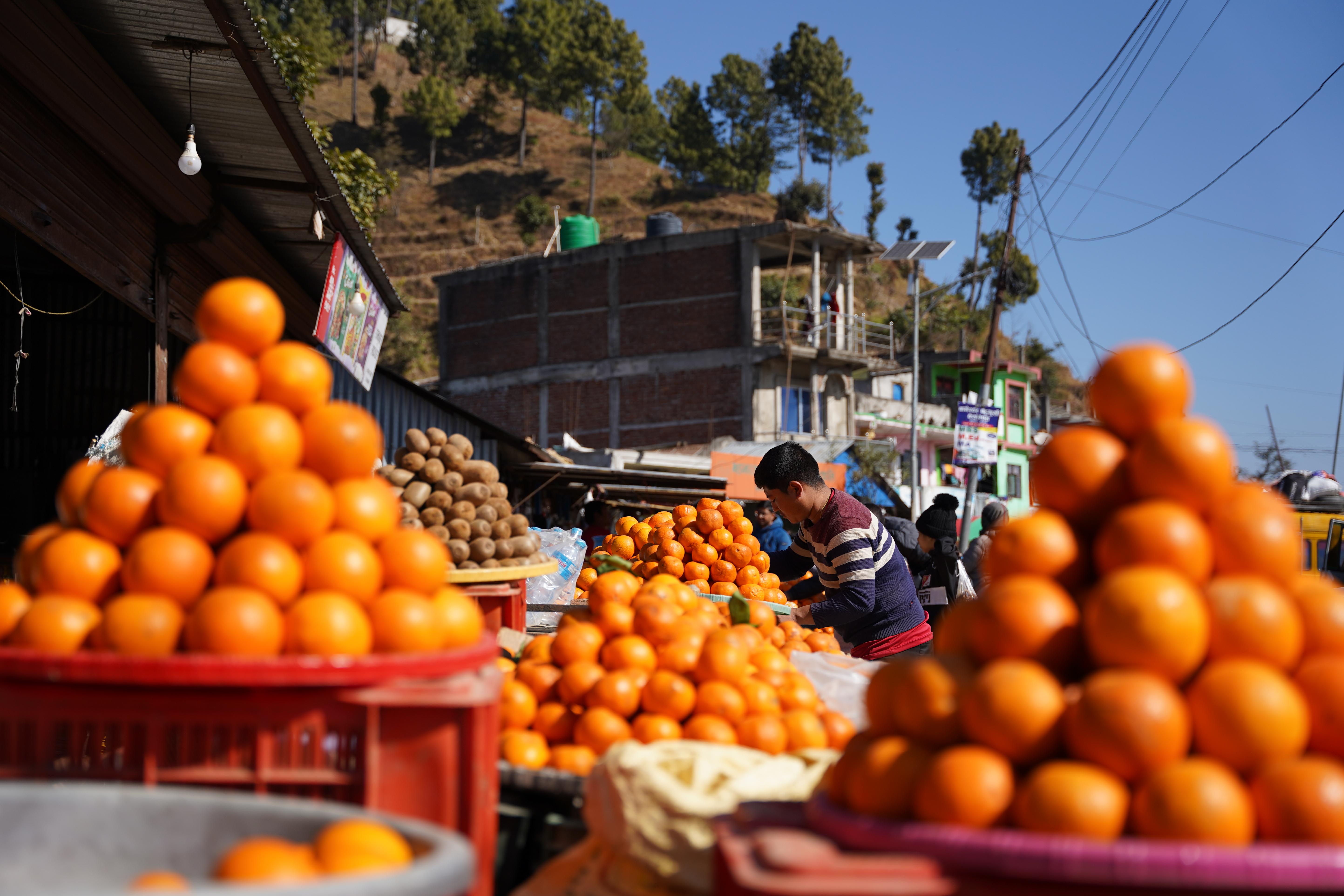 Mulkharka,-Sindhuli-3-1737533156.jpg