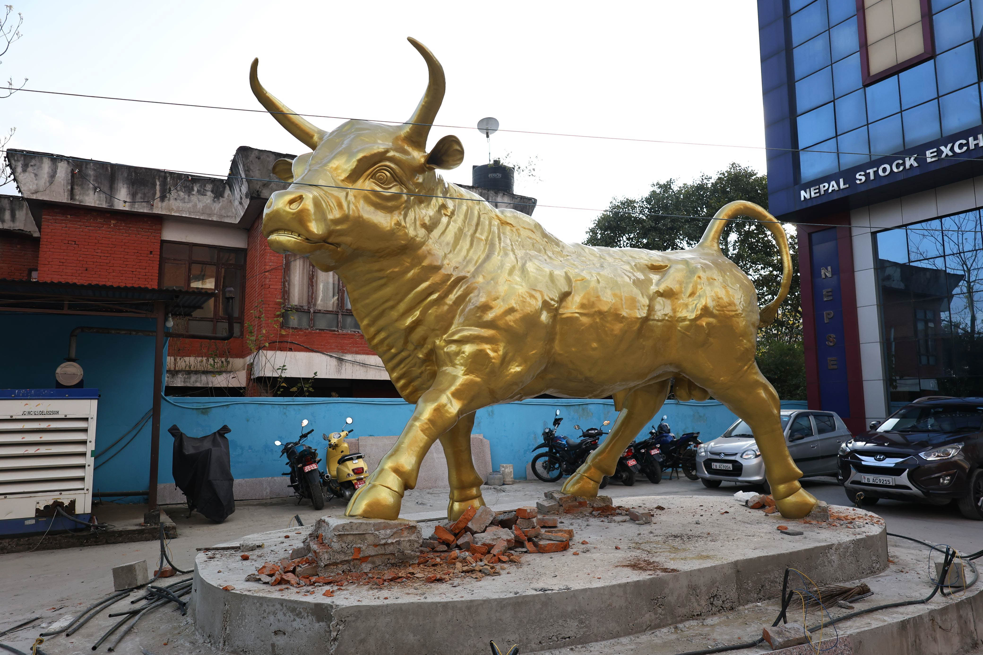 Nepal-stock-exchange,-Bull--382-1729855331.jpg