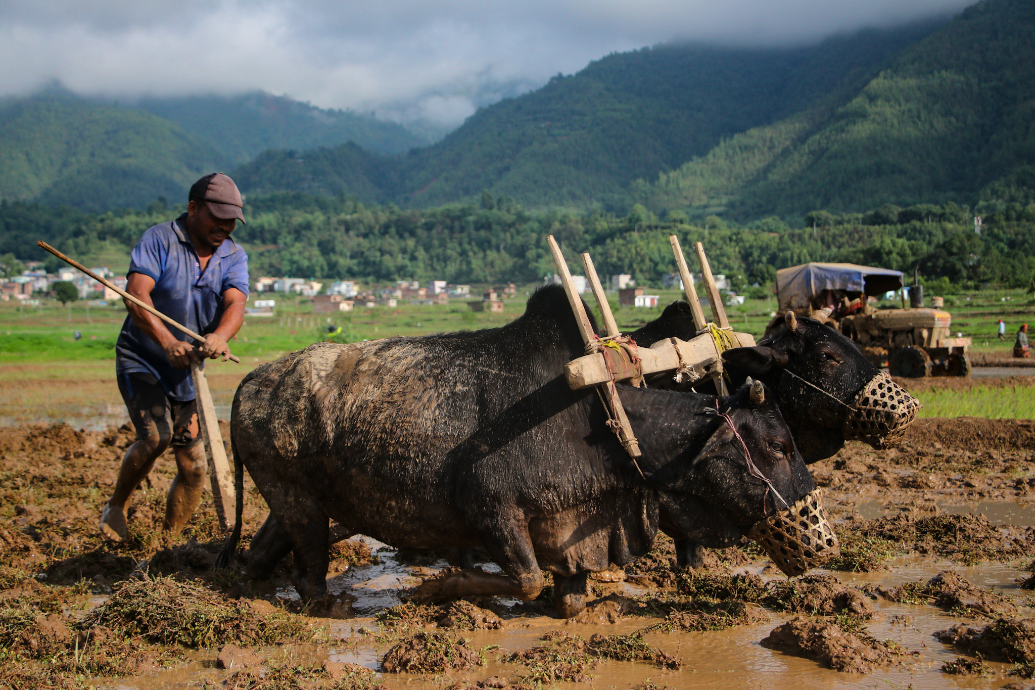 NepalPhotoLibrary-13-1719813586.jpg