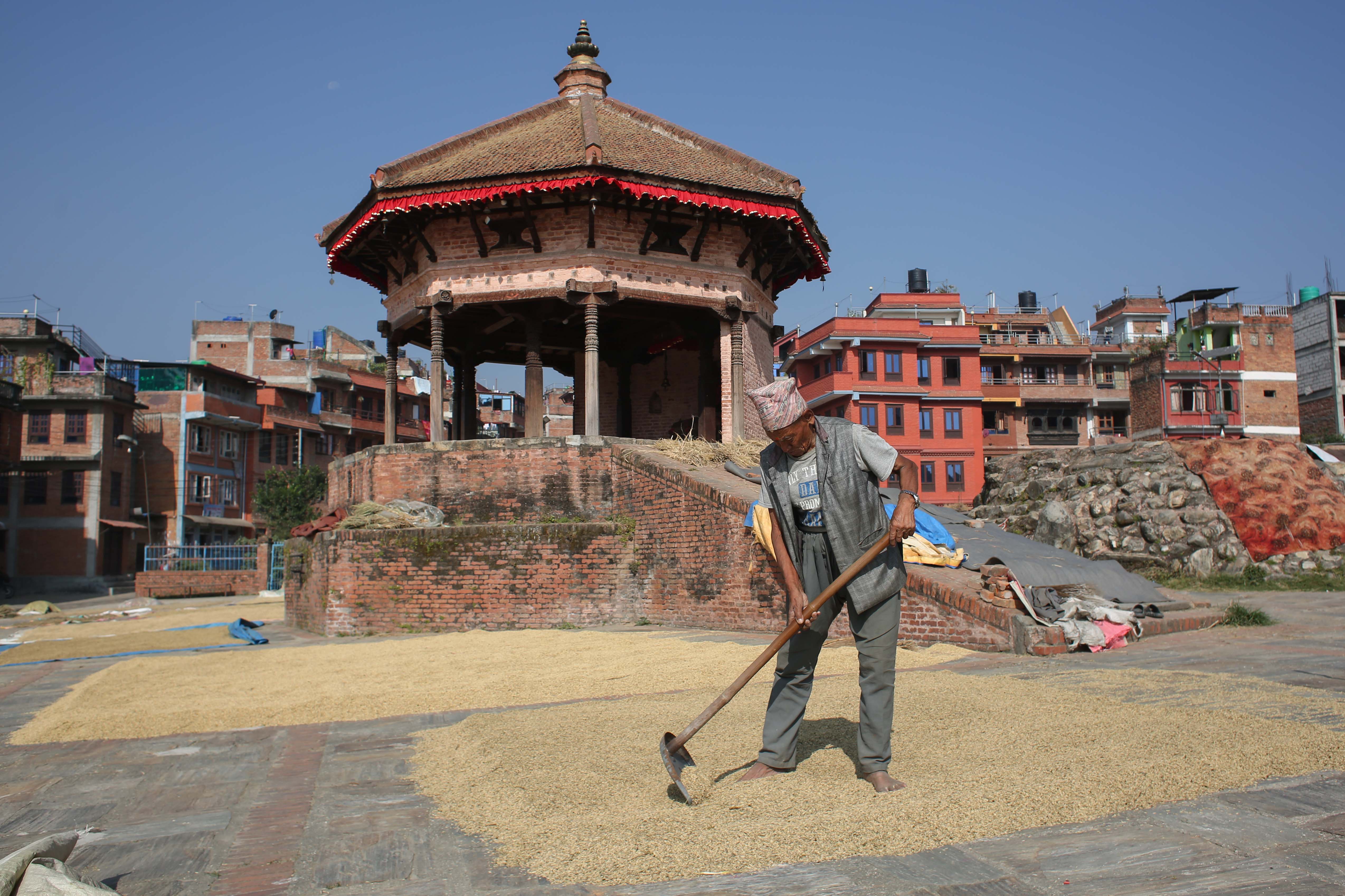 bhaktapur-dhan-(7)-1729660865.jpg