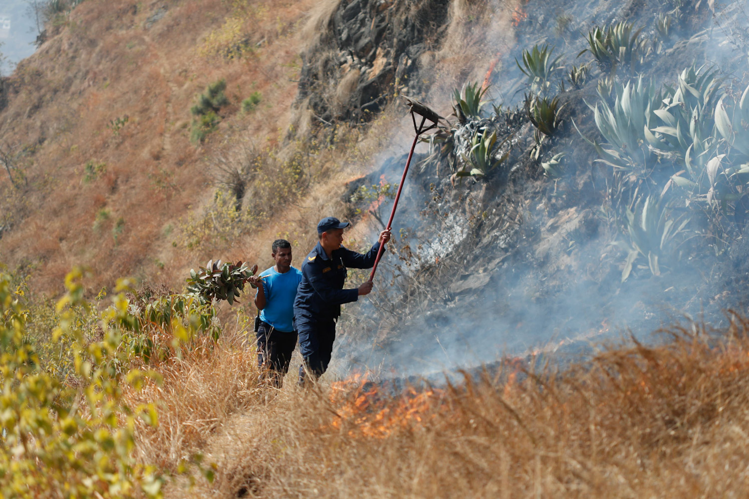 fire-at-jungle-Nepal--photo-library-10-1740029992.jpg