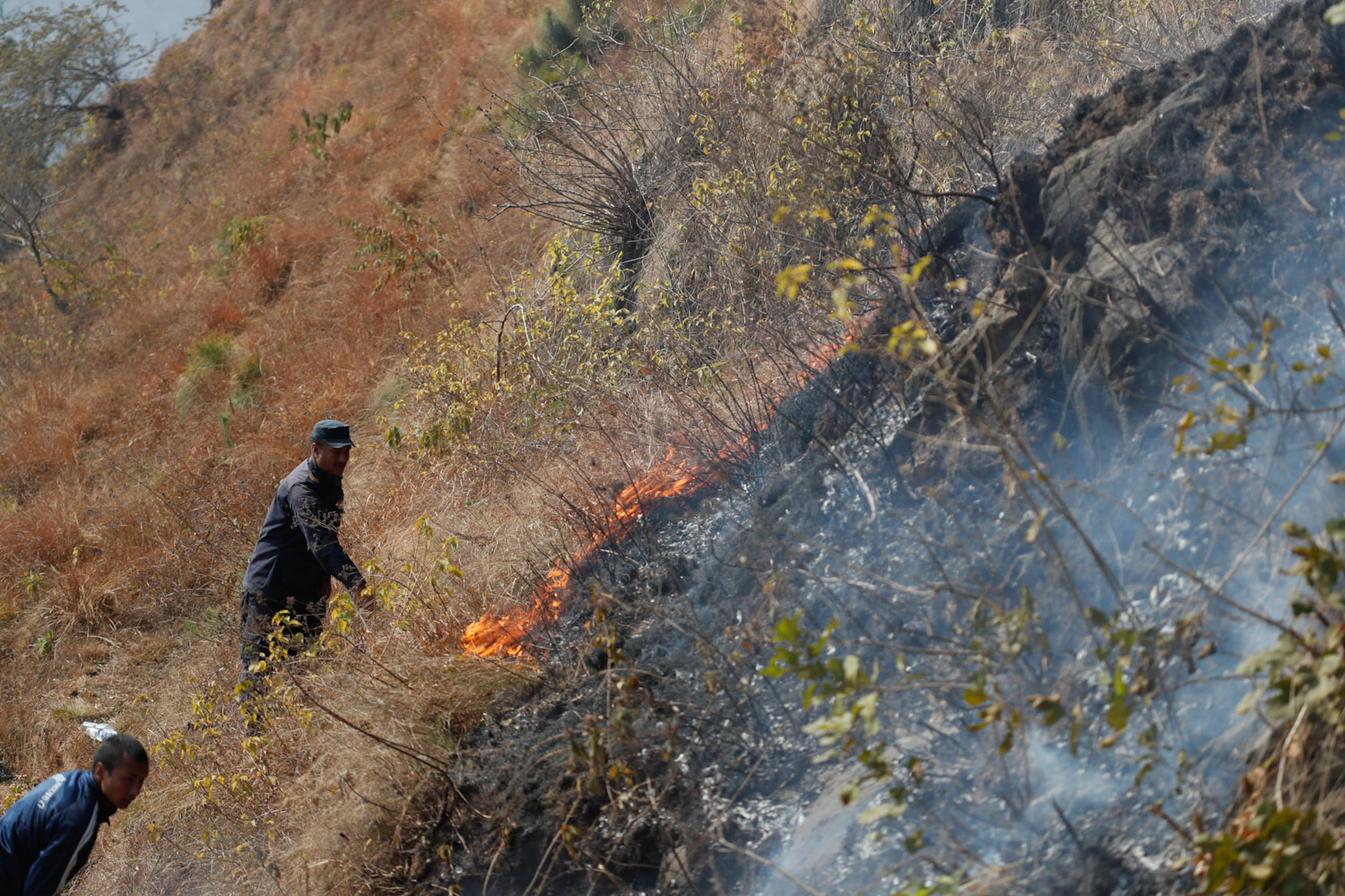 fire-at-jungle-Nepal--photo-library-11-1740029992.jpg