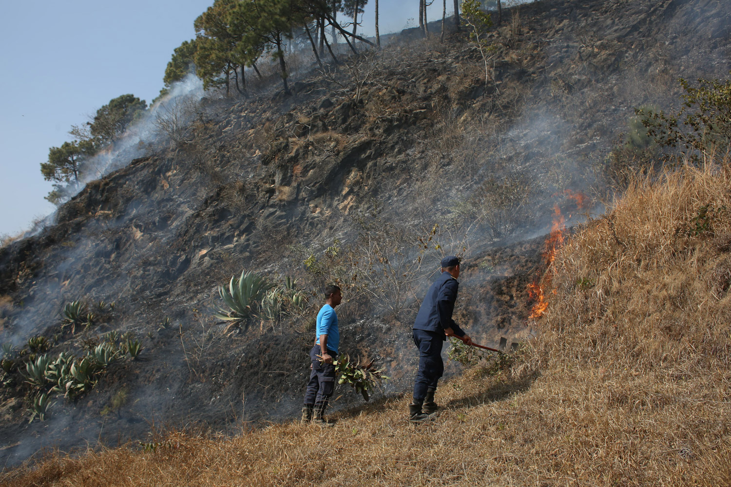 fire-at-jungle-Nepal--photo-library-16-1740029997.jpg