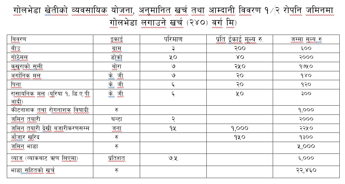 golbheda1-1726299577.jpeg